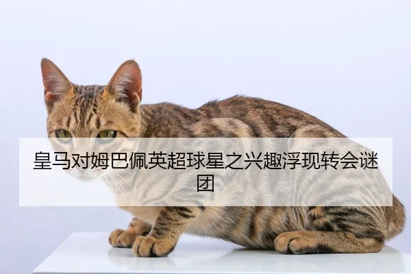 皇马对姆巴佩英超球星之兴趣浮现转会谜团