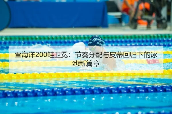 tan-hai-yang-wa-wei-mian-jie-zou-fen-pei-yu-pi-di-hui-gui-xia-de-yong-chi-xin-pian-zhang-3-524.jpg