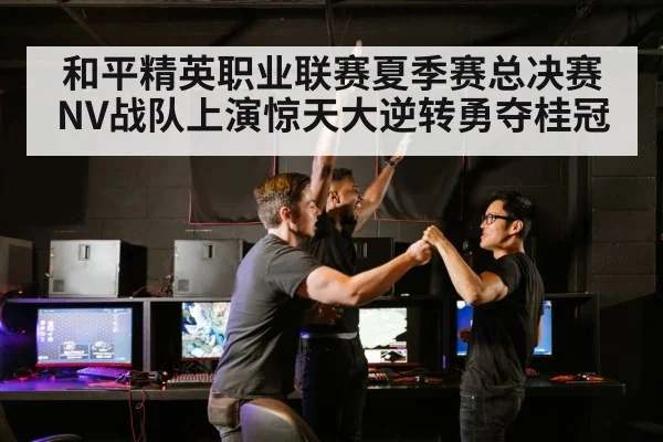 和平精英职业联赛夏季赛总决赛NV战队上演惊天大逆转勇夺桂冠