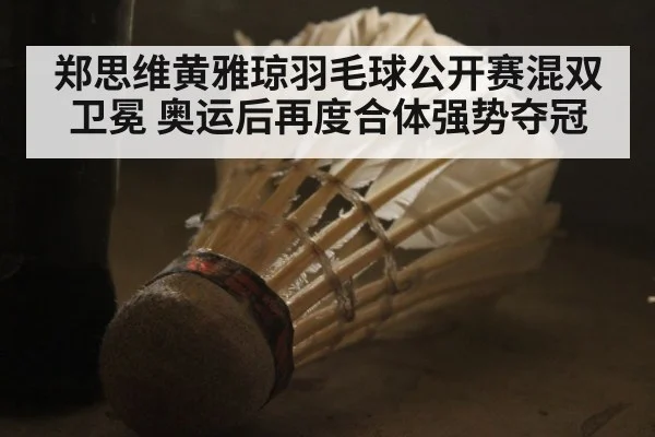 郑思维黄雅琼羽毛球公开赛混双卫冕 奥运后再度合体强势夺冠