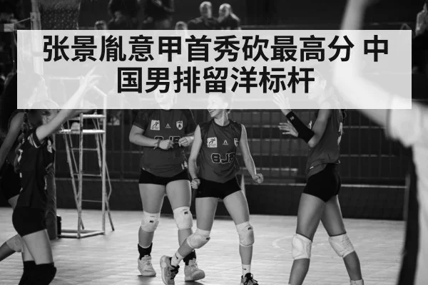张景胤意甲首秀砍最高分 中国男排留洋标杆