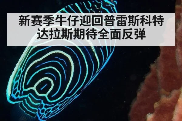 新赛季牛仔迎回普雷斯科特 达拉斯期待全面反弹