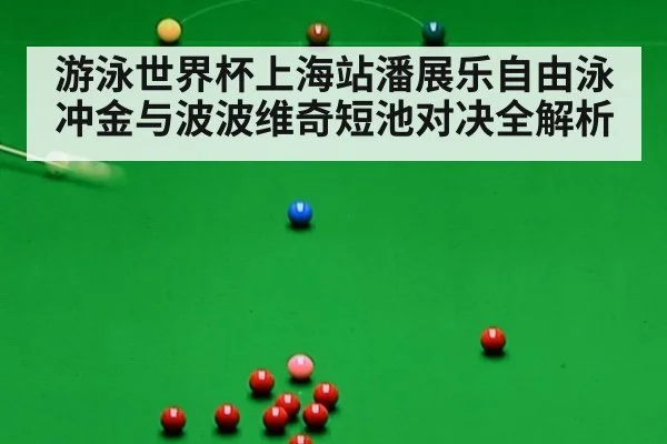 游泳世界杯上海站潘展乐自由泳冲金与波波维奇短池对决全解析