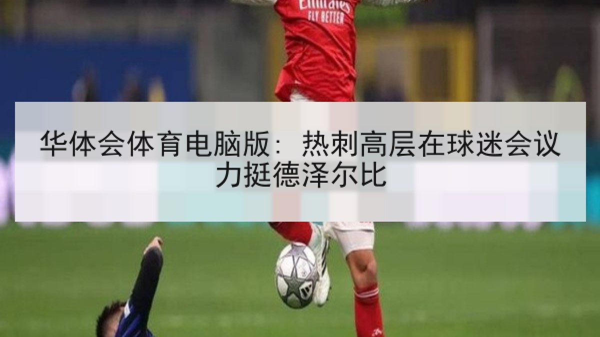 华体会体育电脑版: 热刺高层在球迷会议力挺德泽尔比